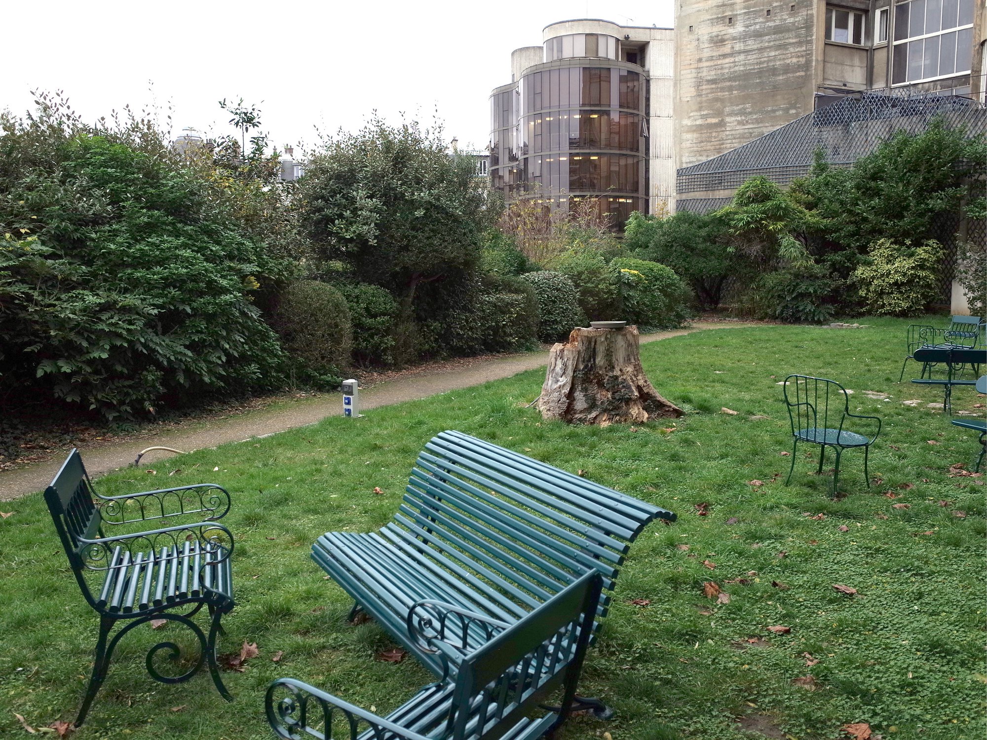 Existant : un jardin dégradré