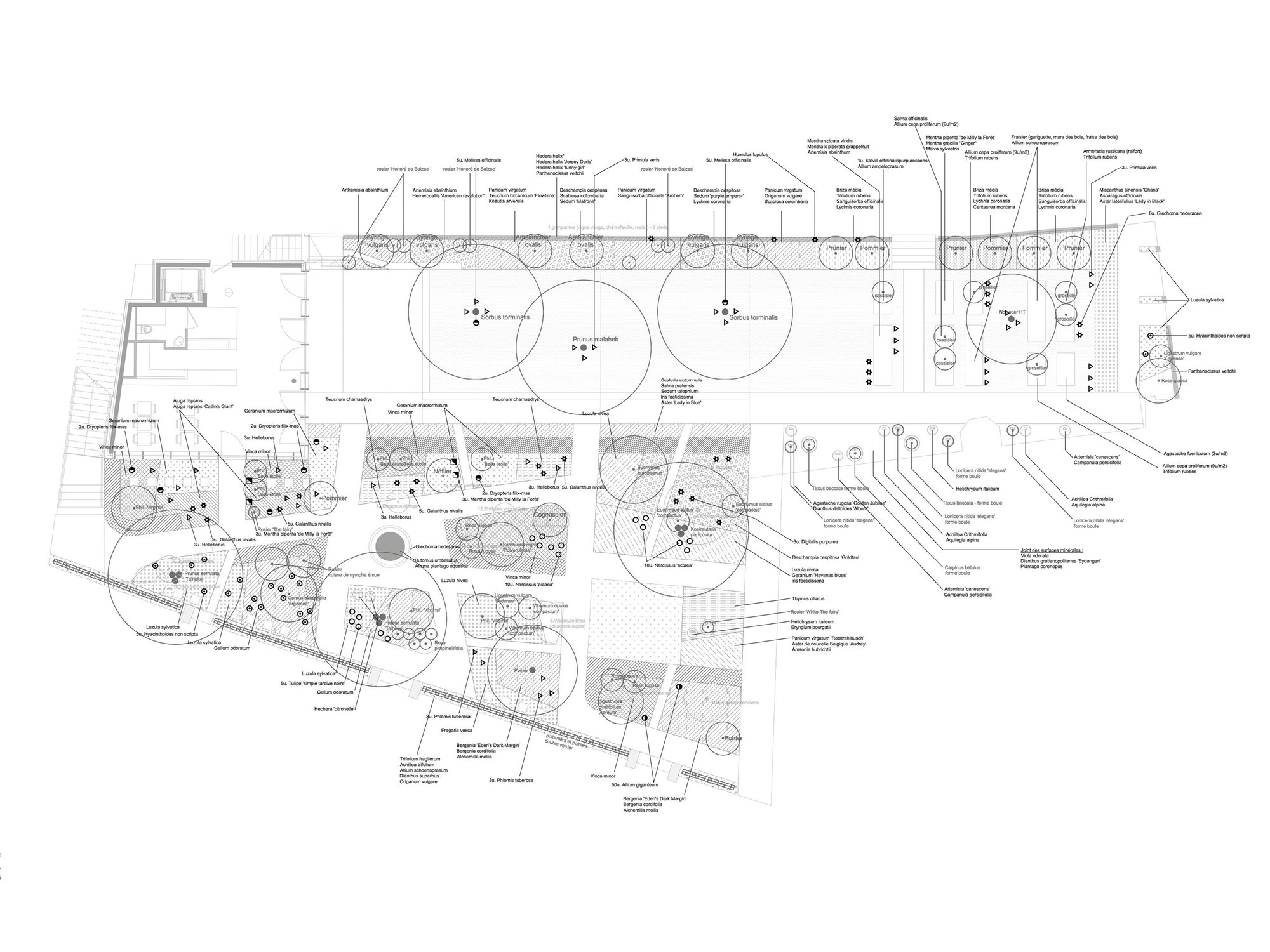 Plan de plantation