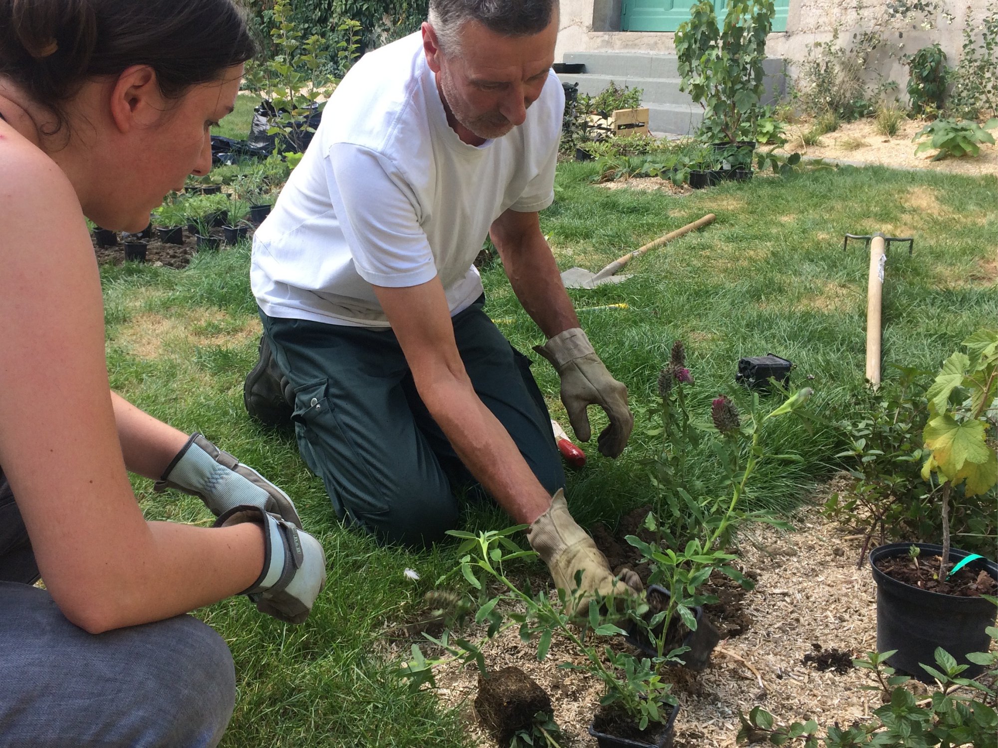 Année 0 : le chantier participatif : jardiniers de la ville, du musée, conservatrice, maîtrise d'ouvrage et maître d'oeuvre