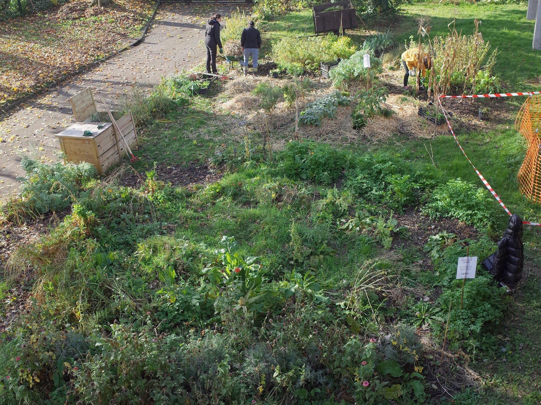 Jardinage : avant l'hiver : désherber, pailler, récolter