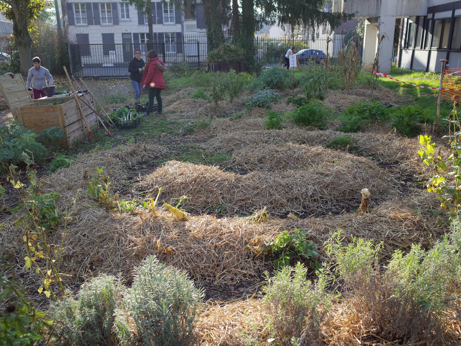 Jardinage : le jardin prêt à passer l'hiver !