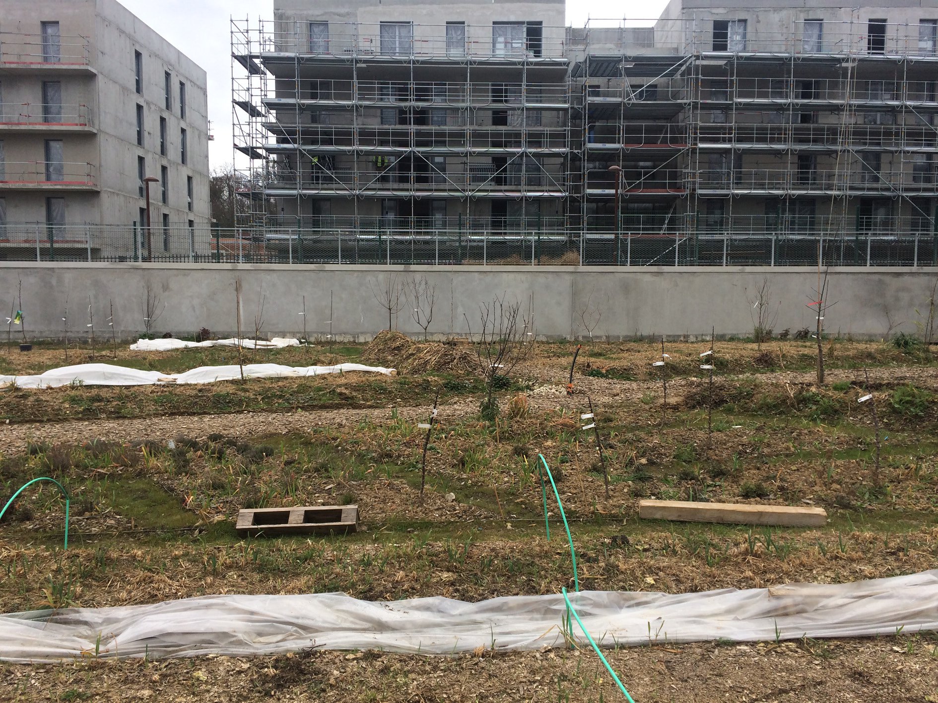Année 0 : le chantier
