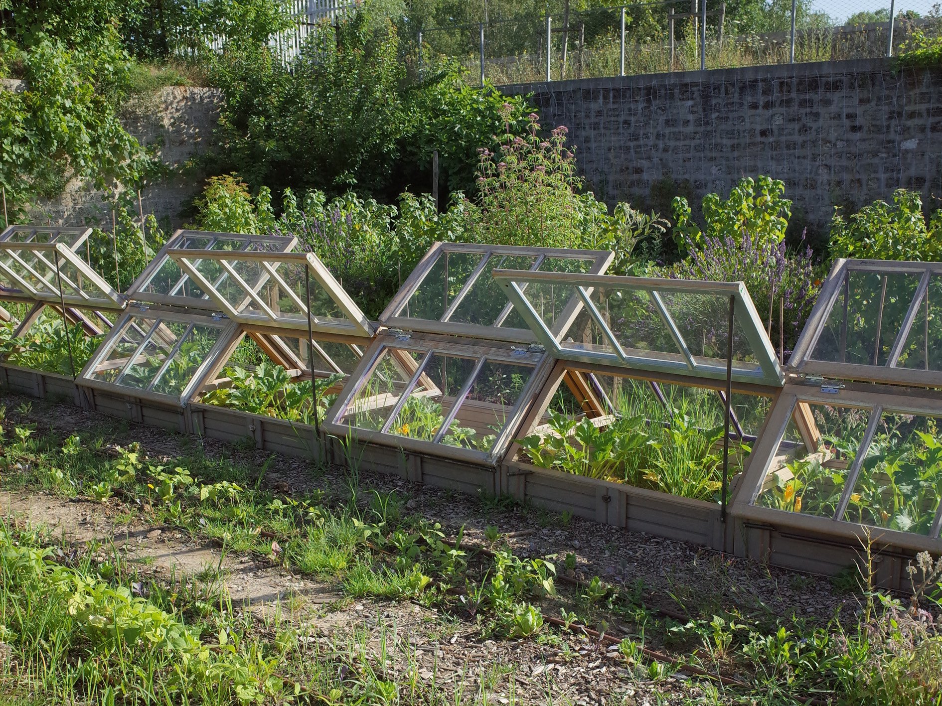 Année 3 : les chassis, la beauté du recyclage