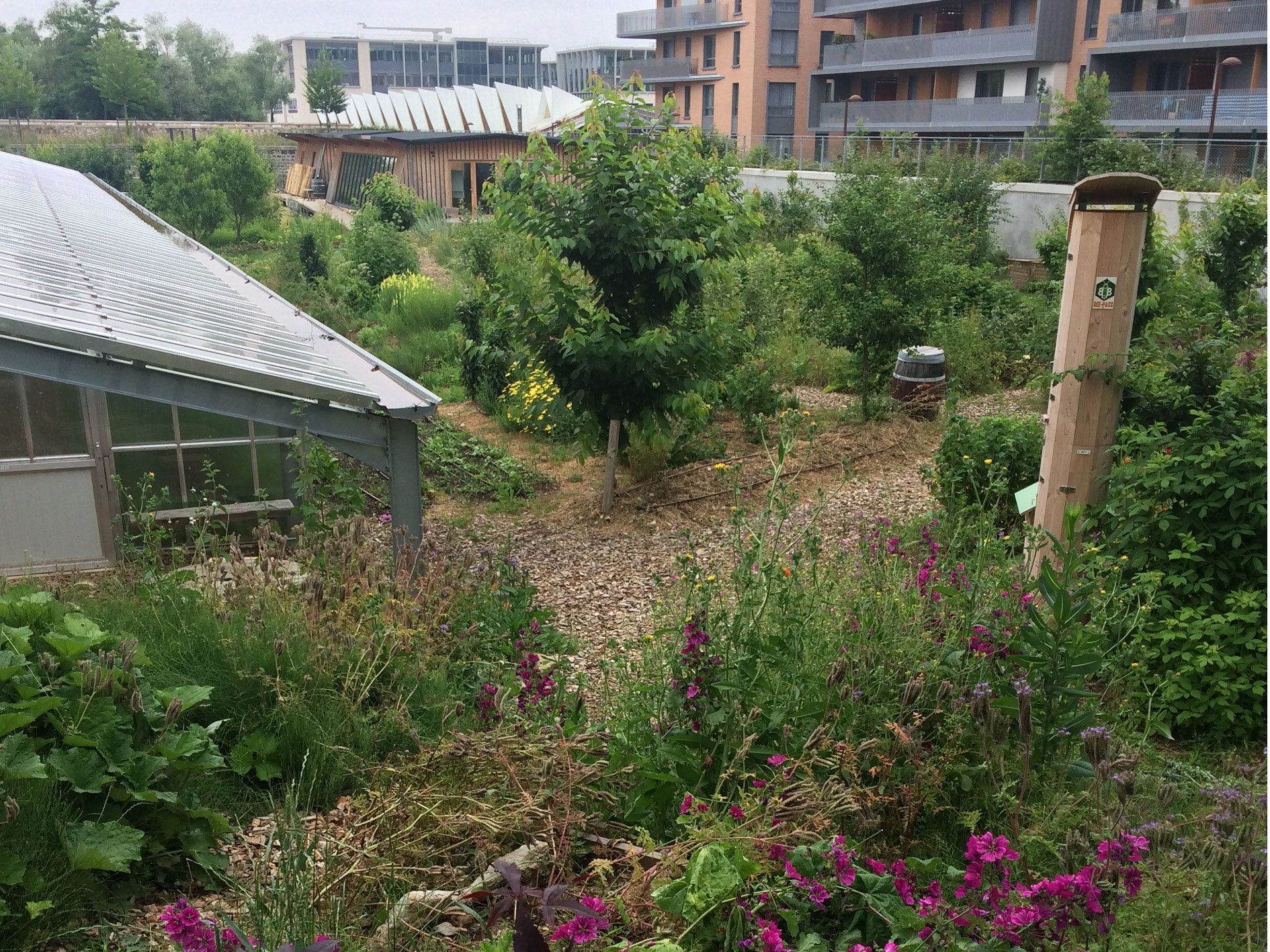 Année 3 : la mini-forêt jardin et l'espace technique