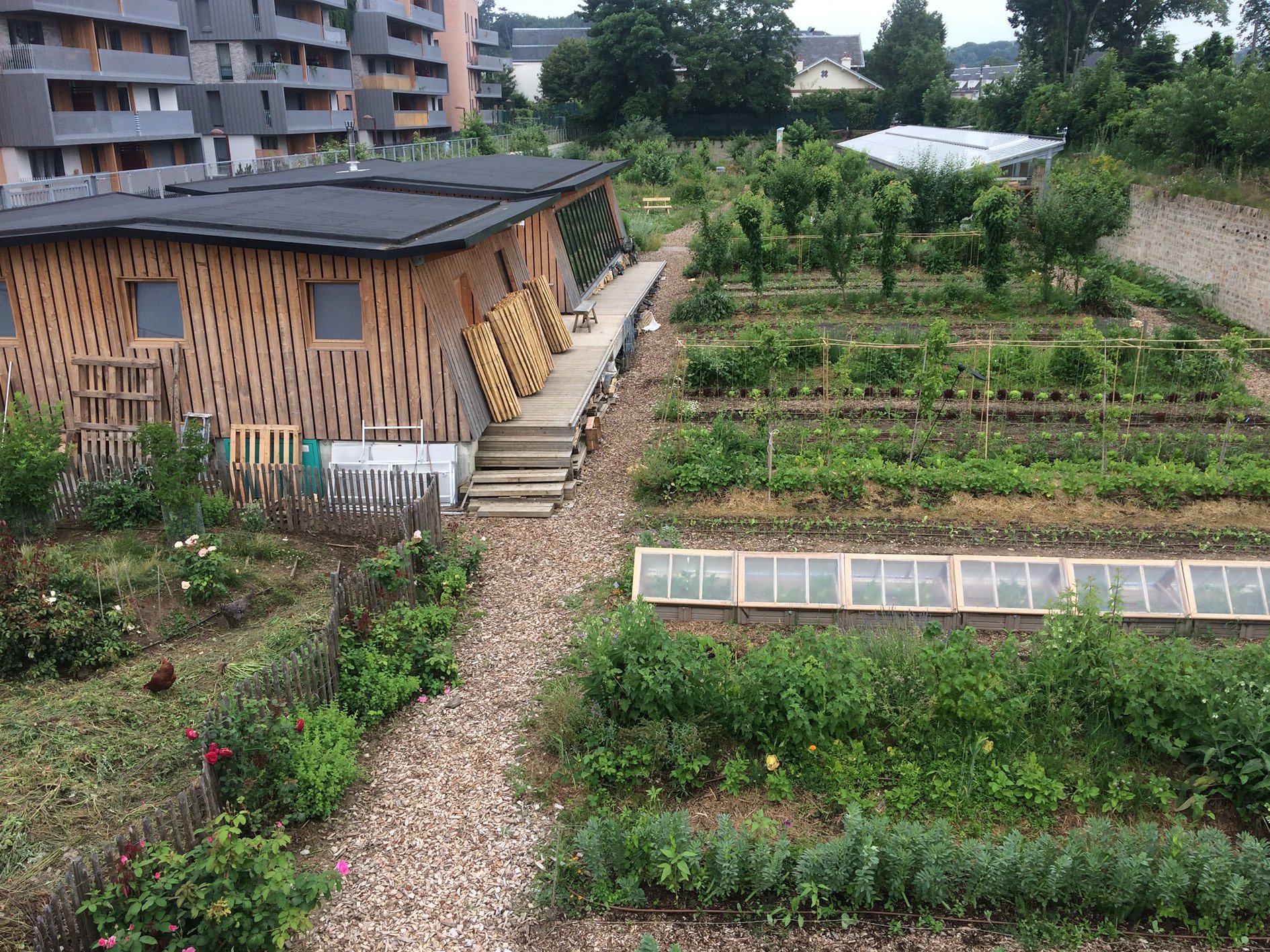 Année 3 : le potager biointensif