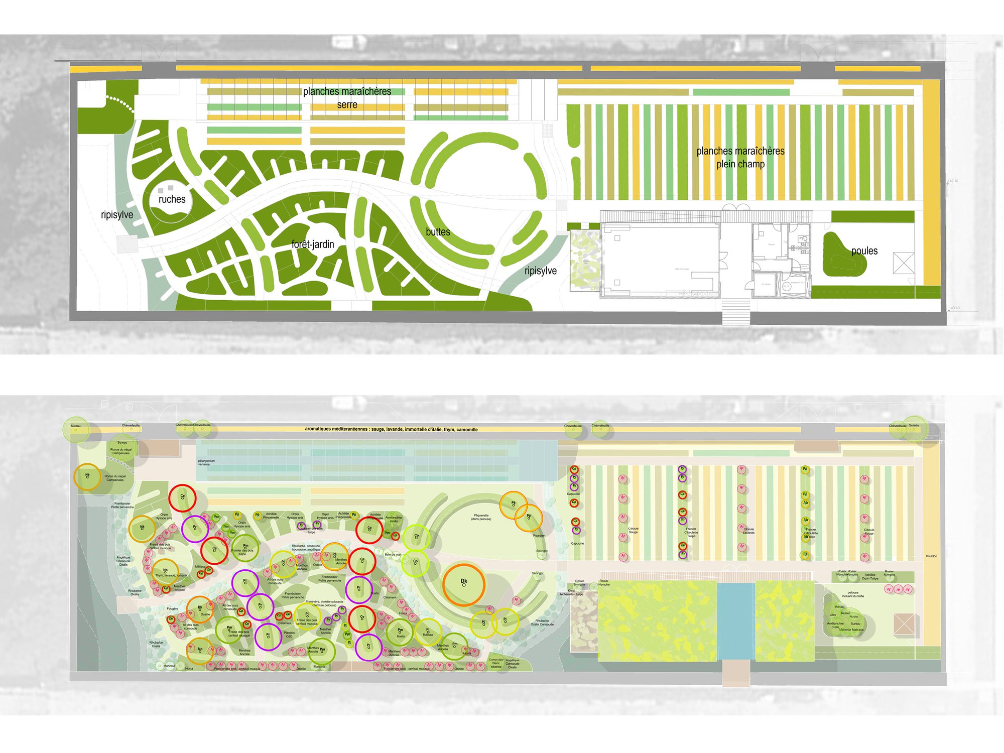 Plan des surfaces cultivées / Plan des végétaux pérennes