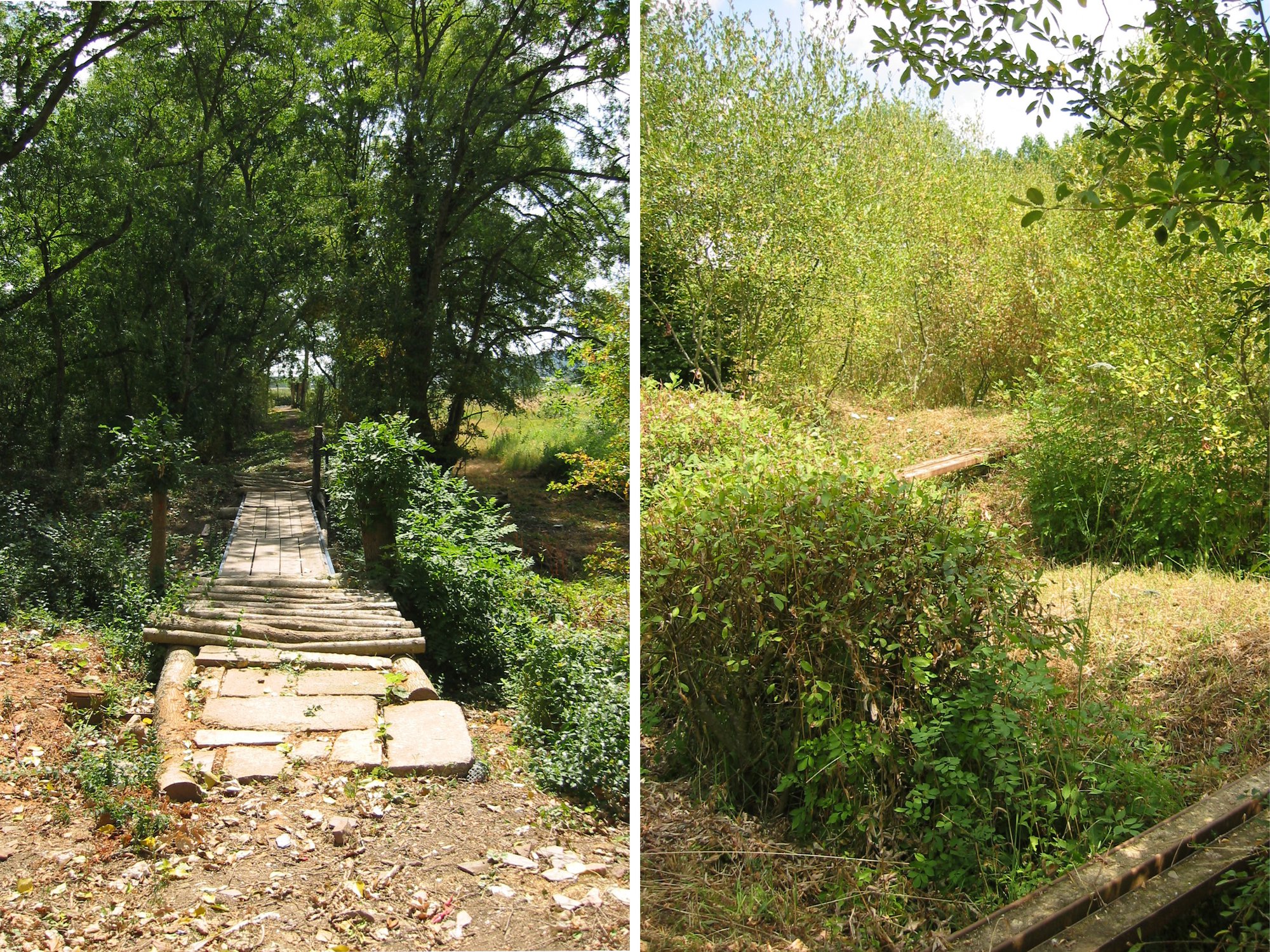 Les passerelles et jardins humides (étagères industrielles et gravats recyclés)